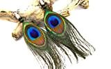 Boucles d'oreilles plumes de paon Nhiòte, Bijoux amérindiens, boucles oreilles ethniques, plumes naturelles création unique, ETHNIC FEATHER