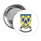 BROCHE. ARMOIRES SHROPSHIRE MUNICIPALITÉS D'ANGLETERRE ANGLETERRE