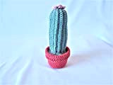 Cactus cierge fleur rose pale pot rose vif plante grasse décoration d'intérieur ambiance exotique fait main au crochet