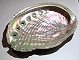 Coquille d'ormeau abalone purification 9-11cm pour purification à la Sauge Blanche, palo santo, encens, fumigation. Un Bijoux Surprise c est ...