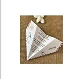 Faire part mariage thème voyage, lot de 10, avion origami, Bordeaux et beige
