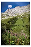 Poster Alpage de Montaimont - Savoie (Les Alpes - France). Affiches Formats 30x45 cm, 40x60 cm ou 50x75 cm. Impression ...