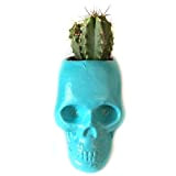 Pot de fleurs turquoise tête de mort