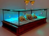 Table Basse Aquarium Alain Floch Design VITAE Chene Massif Plateau Verre Extra Clair Relevable Vitrine LED ou Bac à poissons ...