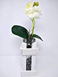 Vase en verre dans un cadre en bois avec une orchidée en soie. Comme cadeau ou pour la décoration de ...